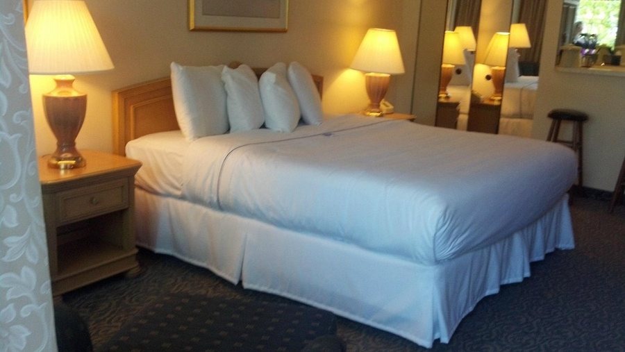 Bonnie Castle Resort Marina — Guest room