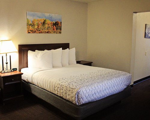 Bowen Motel — Guest room