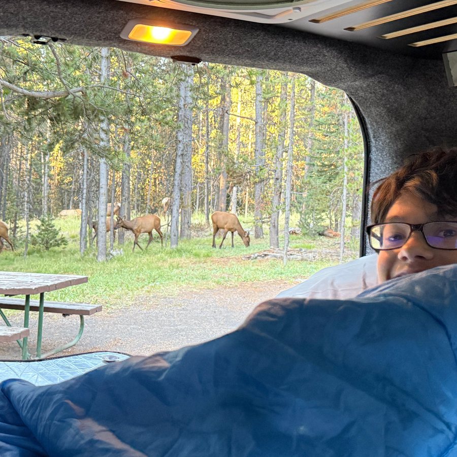 Bridge Bay Campground — Guest room