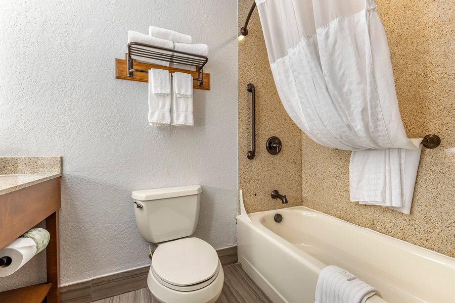 Brookstone Lodge Near Biltmore Village Ascend Hotel Collection — Bathroom