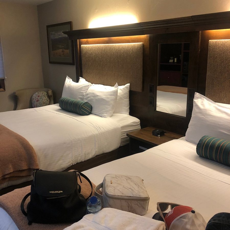 Buck s T 4 Lodge — Guest room
