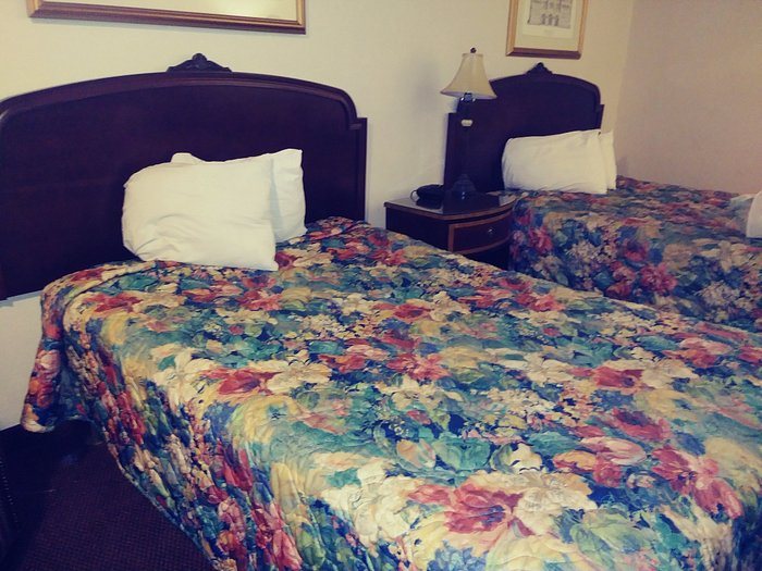 Budget Inn of DeLand — Guest room