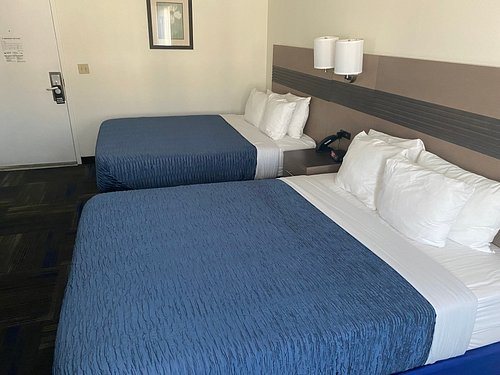 Buena Vista Motor Inn — Guest room