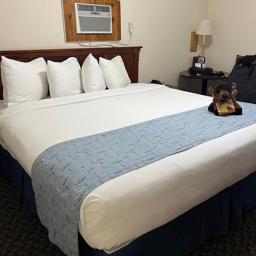Buffalo Bluff RV Park — Guest room