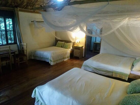 Buhoma Gorilla Camp — Guest room