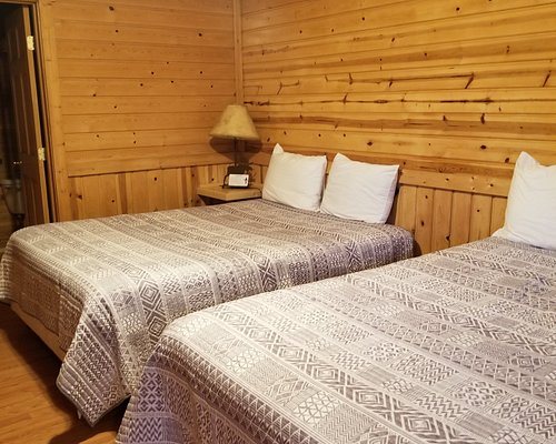 Bull Moose Saloon and Lodge — Guest room