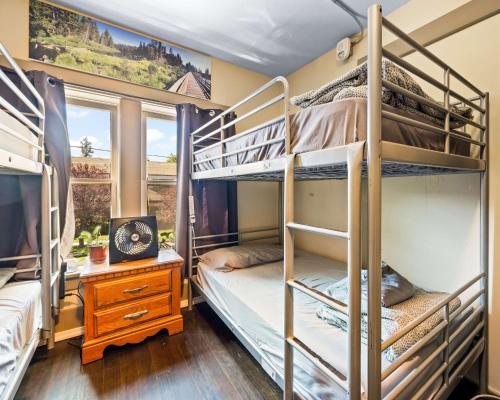 Bunk Brew Historic Lucas House — Guest room