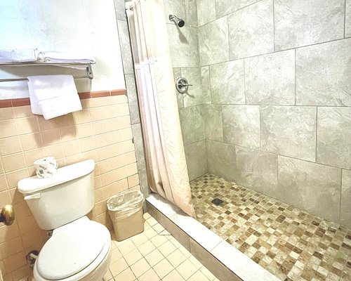 Bybee s Steppingstone Motel — Bathroom
