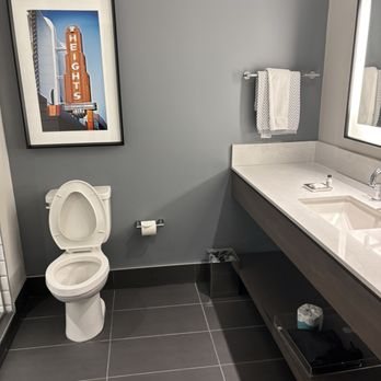 Cambria Hotel Houston Downtown Convention Center Houston Texas — Bathroom
