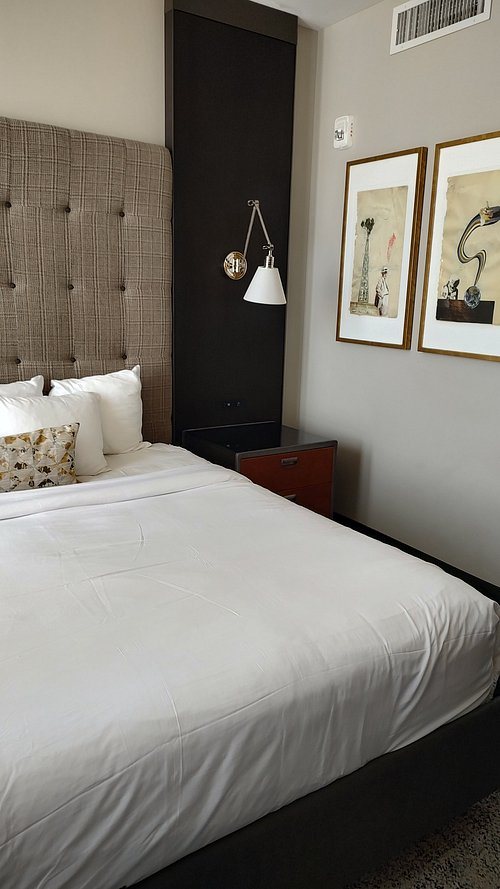 Cambria Hotel Houston Downtown Convention Center Houston Texas — Guest room