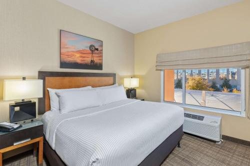 Cambria Hotel Plano Frisco — Guest room