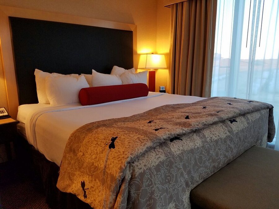Cambria Hotel Rapid City — Guest room