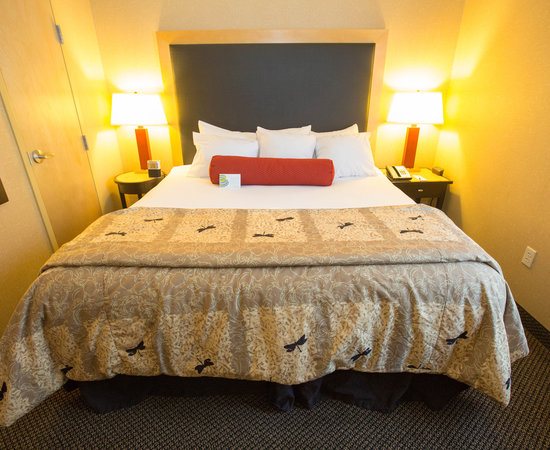 Cambria Hotel Traverse City — Guest room