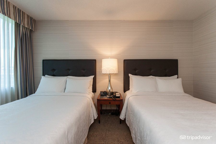 Cambridge Suites Toronto Toronto Ontario — Guest room