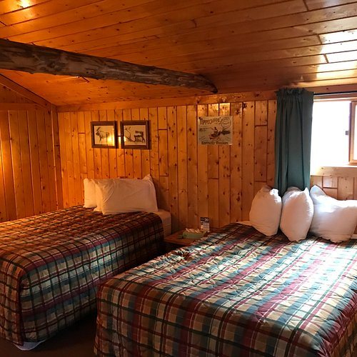 Camp Denali — Guest room