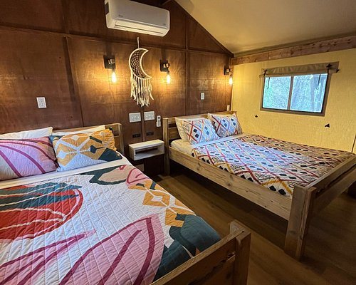Camp LeConte Luxury Outdoor Resort — Guest room