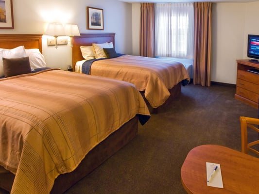 Candlewood Suites Buffalo Amherst by IHG — Guest room