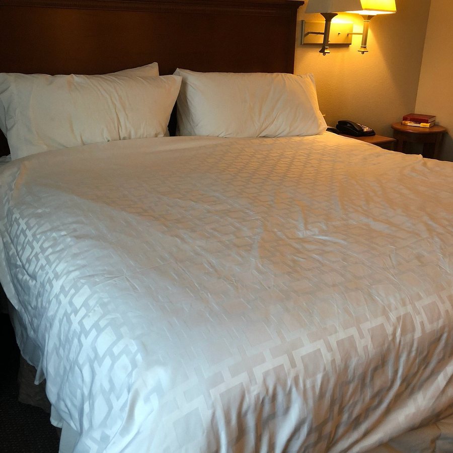 Candlewood Suites Perrysburg by IHG — Guest room