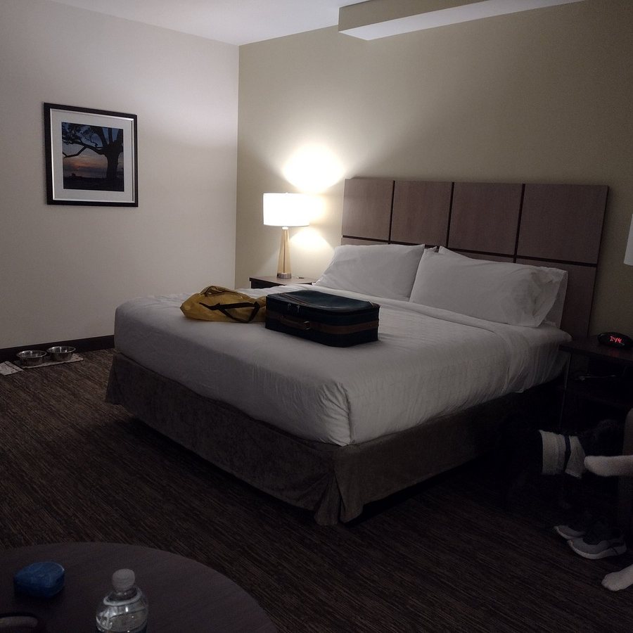 Candlewood Suites Safety Harbor Clearwater NE by IHG — Guest room