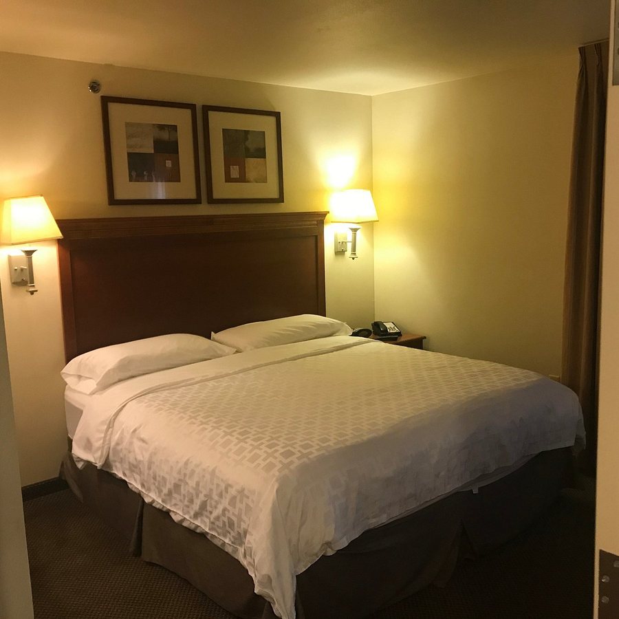 Candlewood Suites Springfield By IHG — Guest room