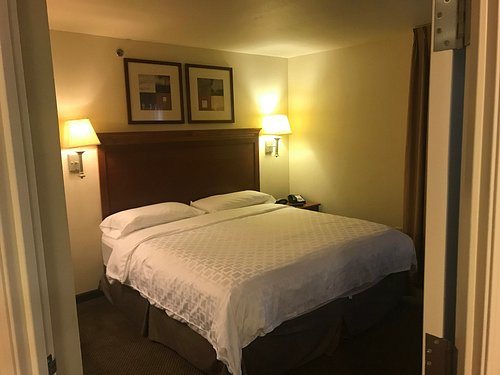 Candlewood Suites Springfield Medical District by IHG — Guest room