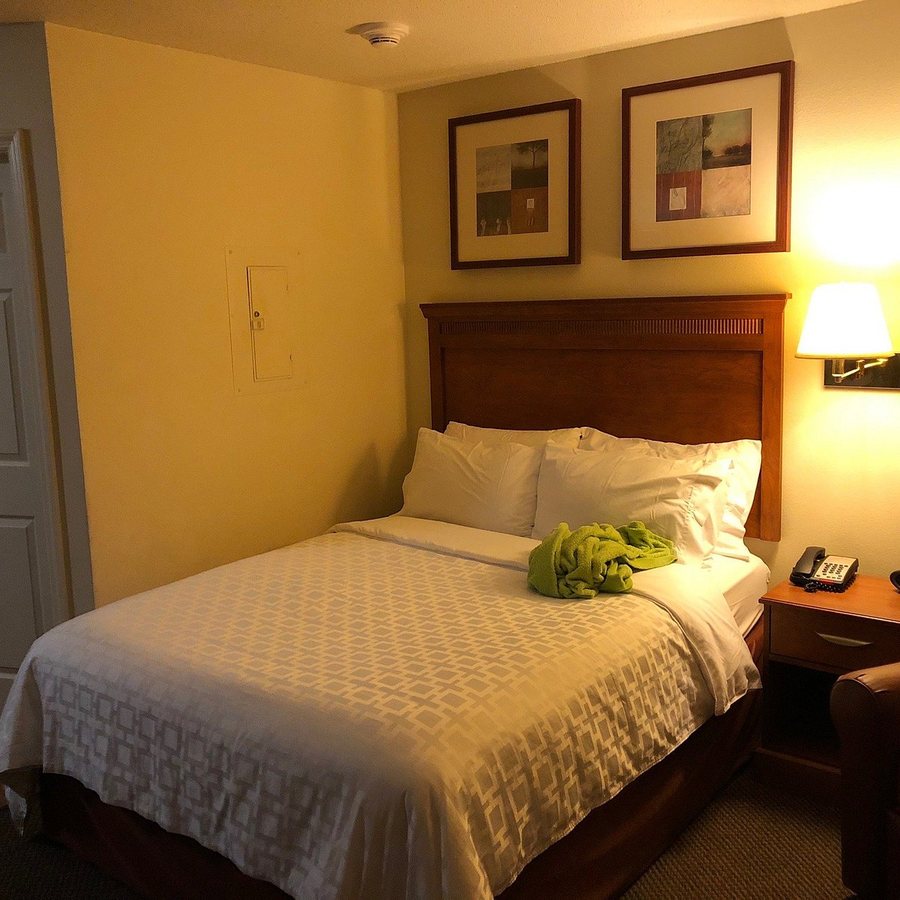 Candlewood Suites Williamsport by IHG — Guest room