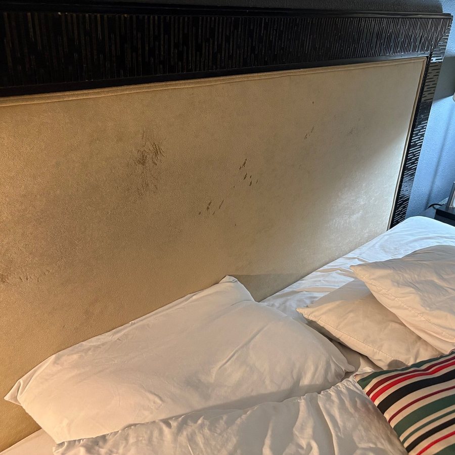 Canyon Club Hotel — Guest room