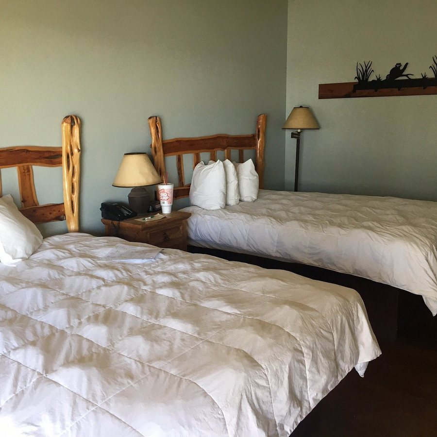 Canyon of the Eagles — Guest room