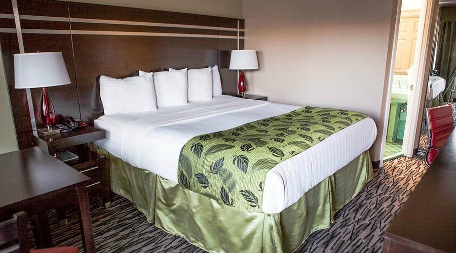 Capri Motel Las Vegas Nevada — Guest room