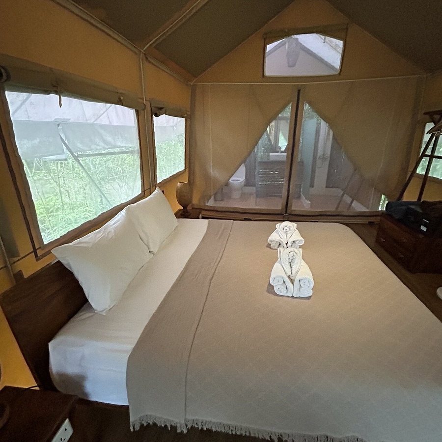 Cardamom Tented Camp — Guest room