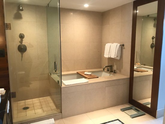 Carillon Miami Wellness Resort Miami Beach Florida — Bathroom