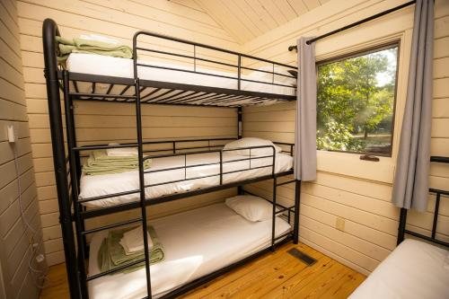 Carowinds Camp Wilderness — Guest room