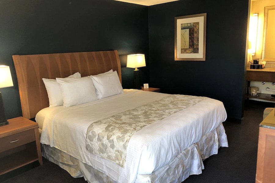 Cascades Inn — Guest room