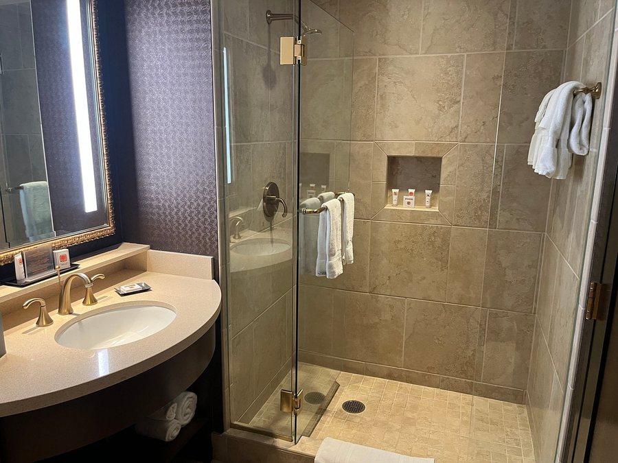 Casino Del Sol — Bathroom