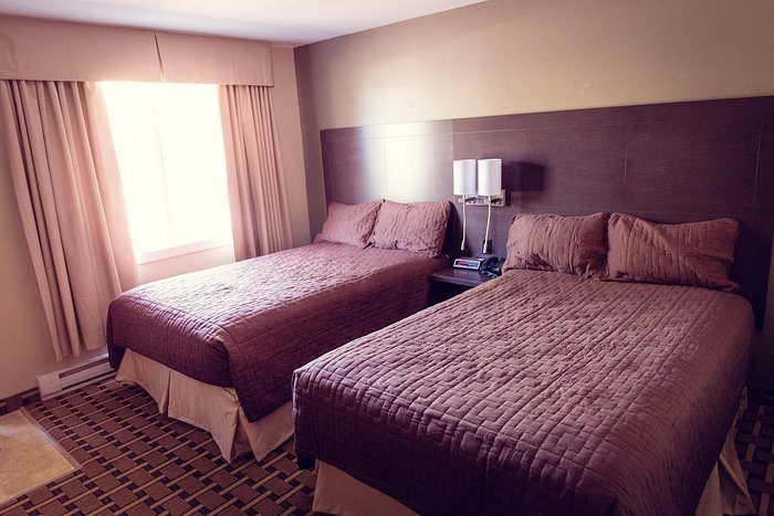 Cedar Lodge Motel — Guest room