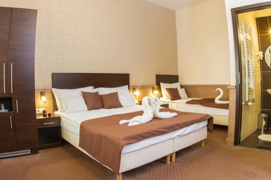 Central Hotel 21 — Guest room