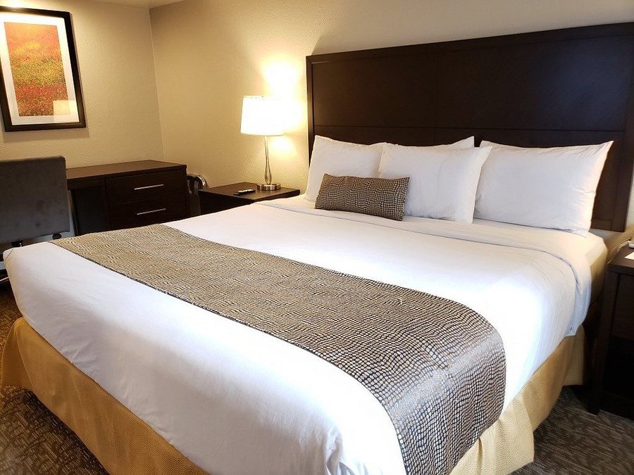 Chase Suite Hotel Newark — Guest room