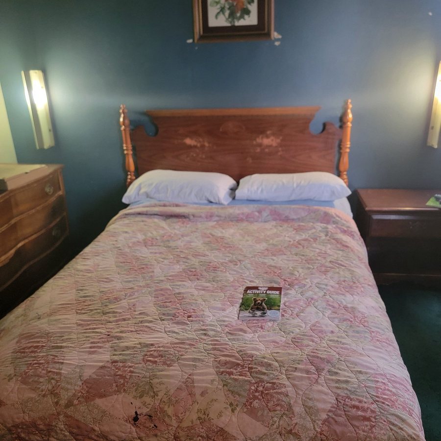 Chelsea Inn Hotel — Guest room
