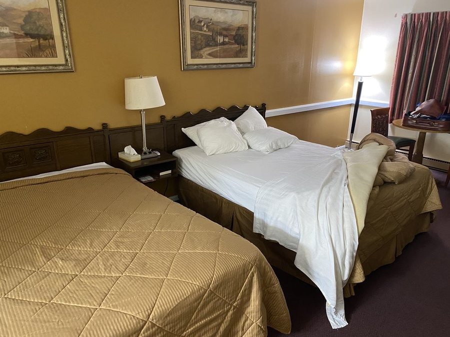 Cherry Lane Motor Inn — Guest room