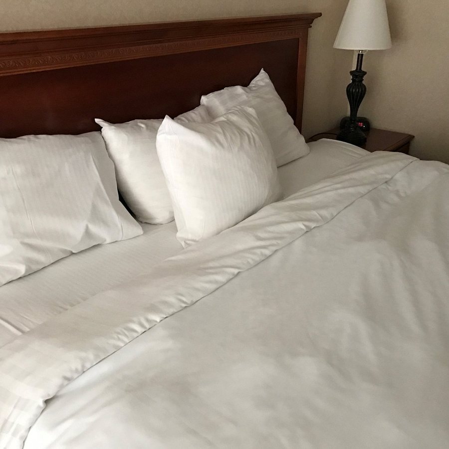 Chestnut Tree Inn Cherokee — Guest room