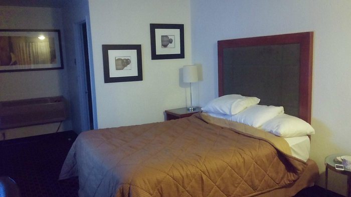 Chestnut Tree Inn Portland Mall 205 — Guest room