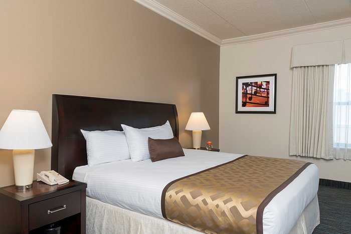 Chicago South Loop Hotel Chicago Illinois — Guest room