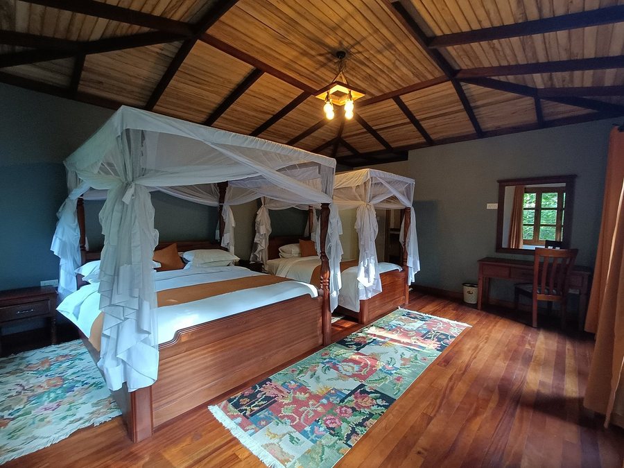 Chimpanzee Forest Lodge — Guest room