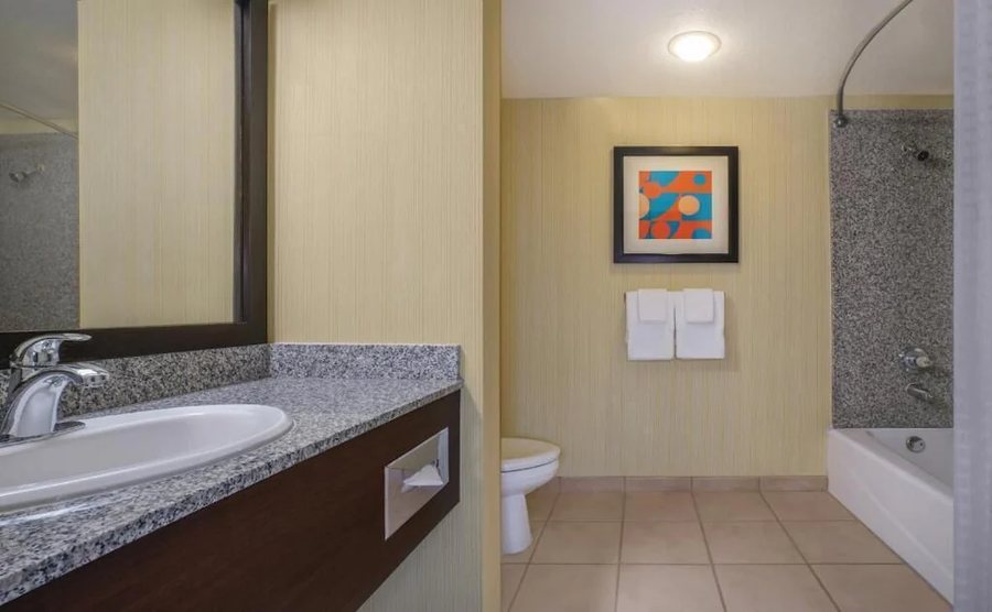Circus Circus Manor Motor Lodge Las Vegas Nevada — Bathroom