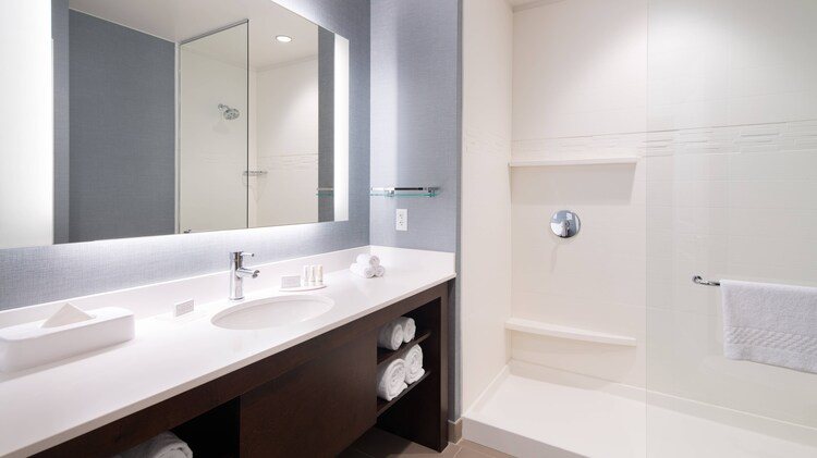City Suites Hotel Chicago Chicago Illinois — Bathroom