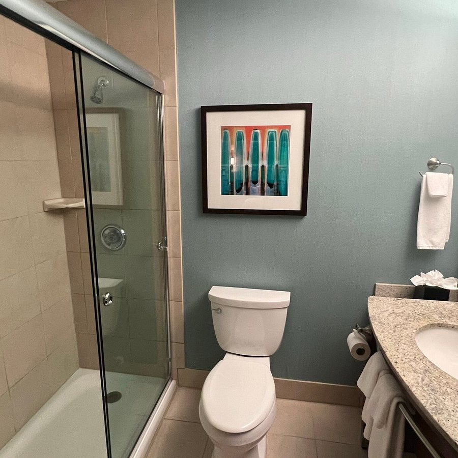 Clarion Hotel Milwaukee Airport — Bathroom