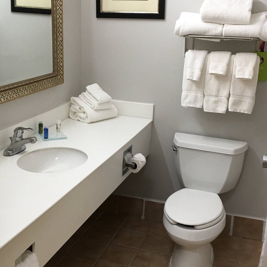 Clarion Inn Macon — Bathroom