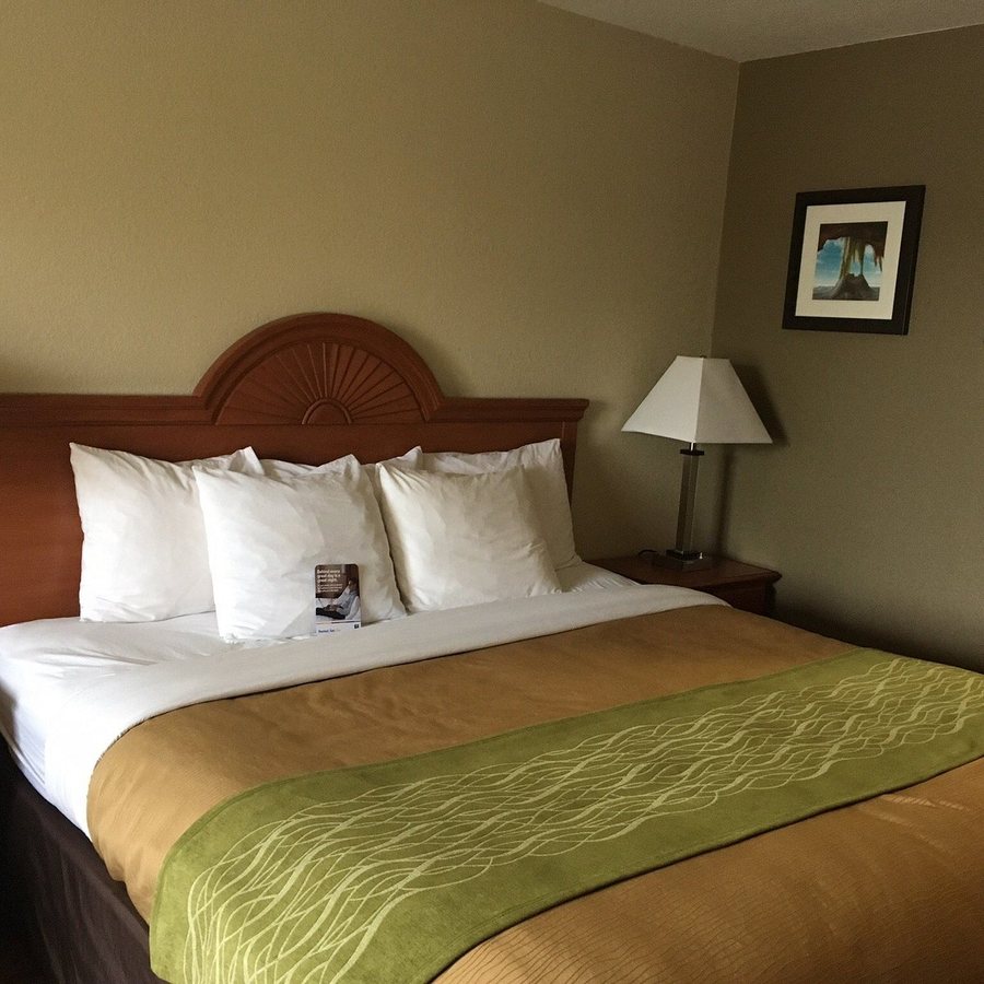 Clarion Pointe By Choice Hotels Racine Mount Pleasant — Guest room