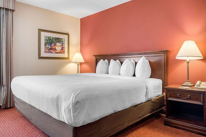 Clarion Pointe Indianapolis Northeast — Guest room