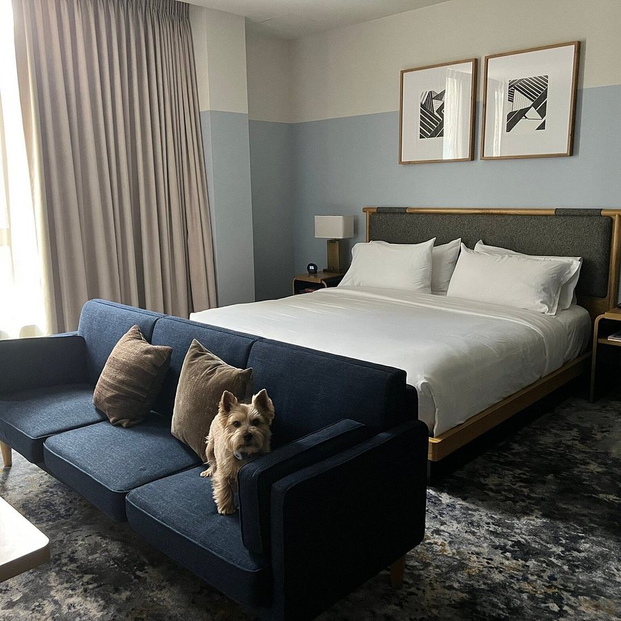 Clayton Hotel Members Club — Guest room
